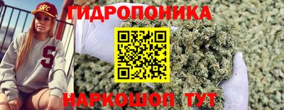 2c-b Кинель