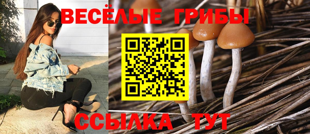 Псилоцибиновые грибы мицелий Лобня