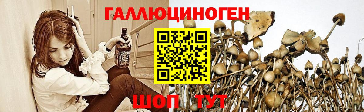 Лобня  Галлюциногенные грибы Magic Shrooms  Вход с VPN 